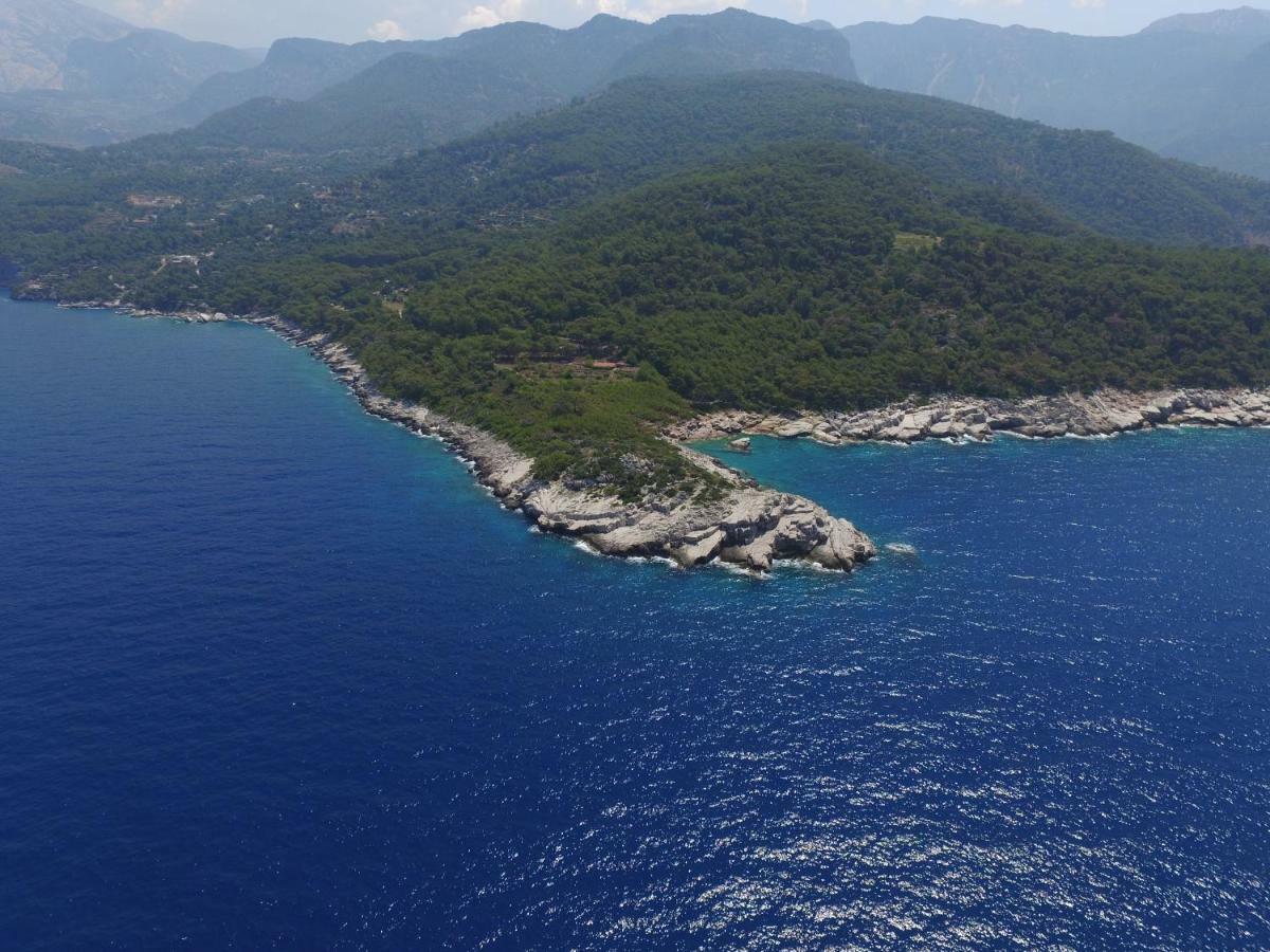 Rocas Roja Beach Hotel Faralya Extérieur photo
